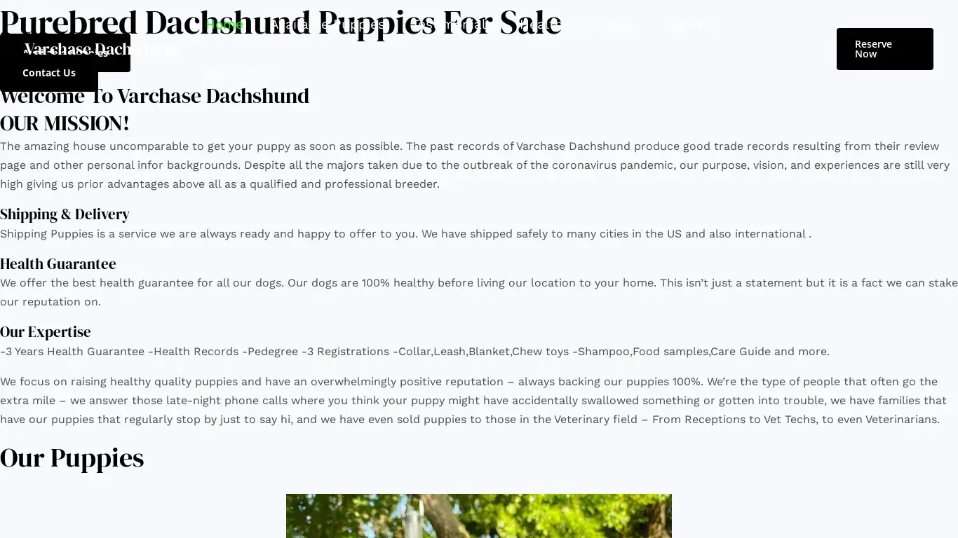 is dachshundvarchase.com legit? screenshot
