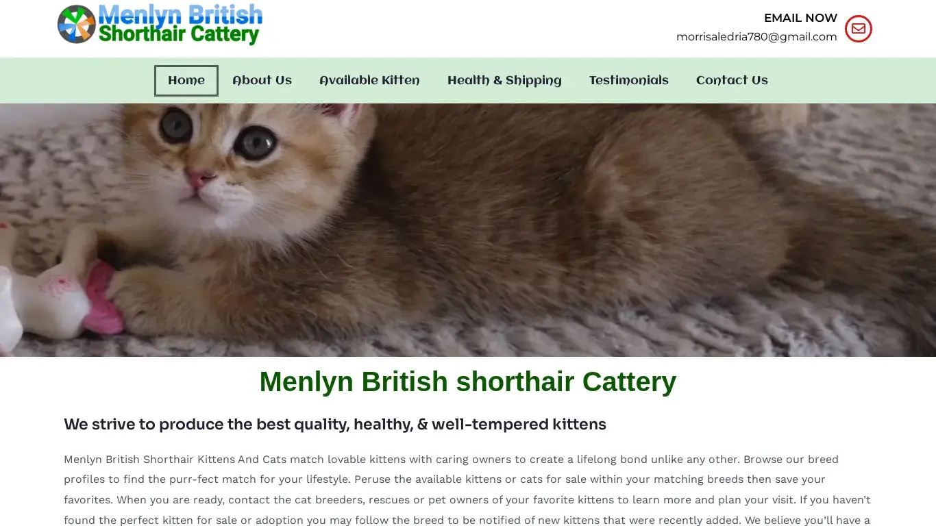 is menlynbritishshorthairkittenscattery.com legit? screenshot