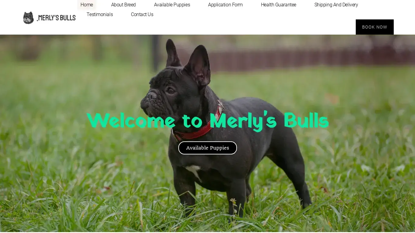 is merlysbulls.com legit? screenshot