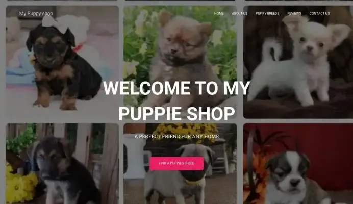 is mypuppieshop.com legit? screenshot
