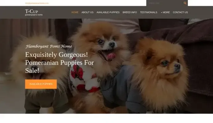 is pomeranianhome.com legit? screenshot