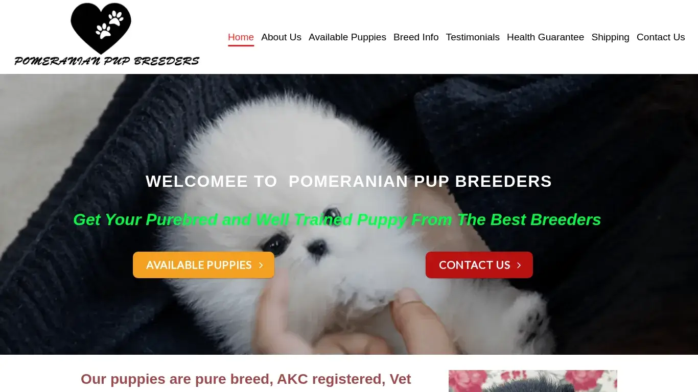 is pomeranianpupbreeders.com legit? screenshot