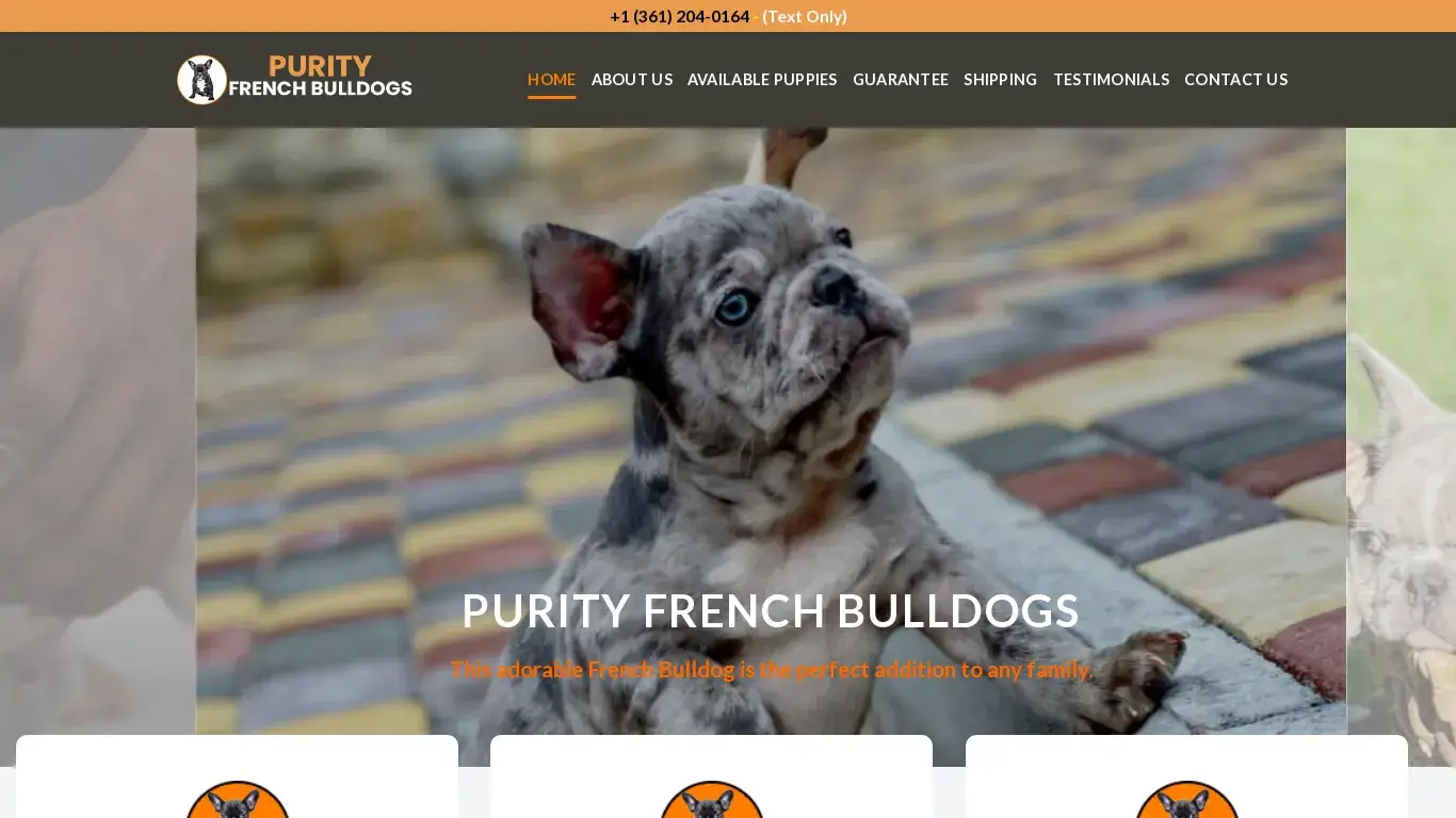is purityfrenchbulldogs.com legit? screenshot