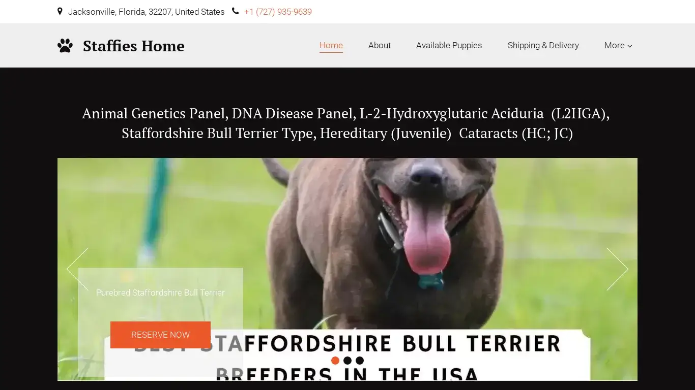is staffordshirebullterrierpuppies.com.ua legit? screenshot
