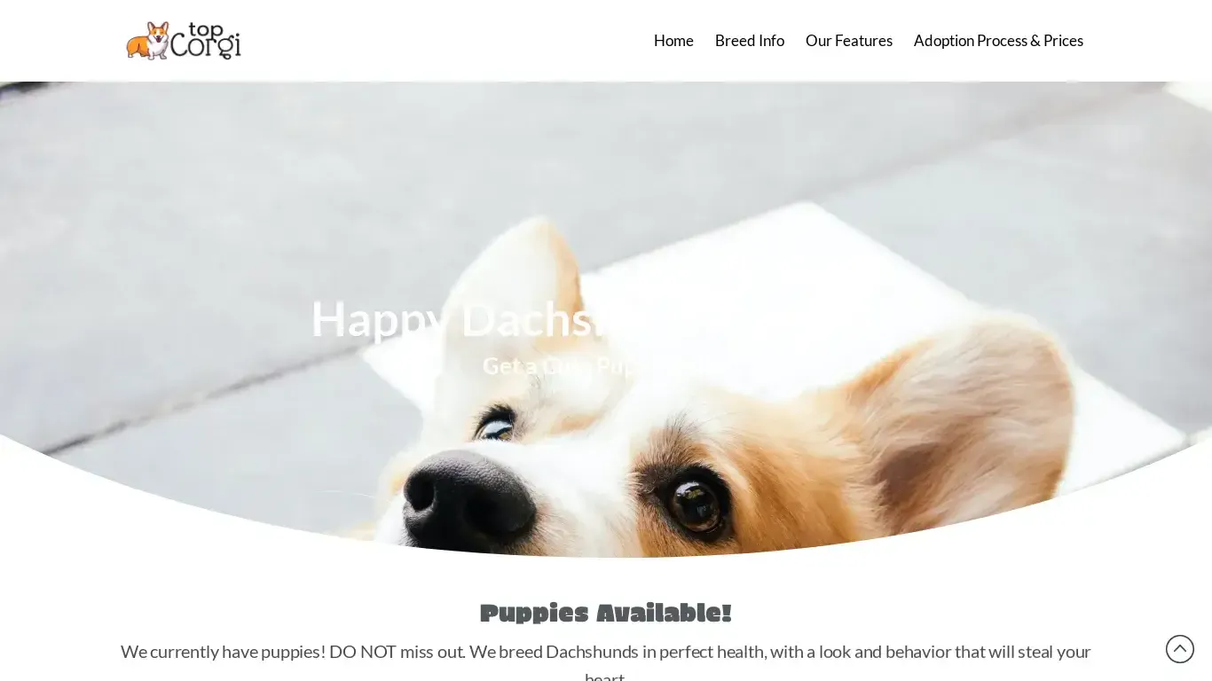 is topcorgi.com legit? screenshot