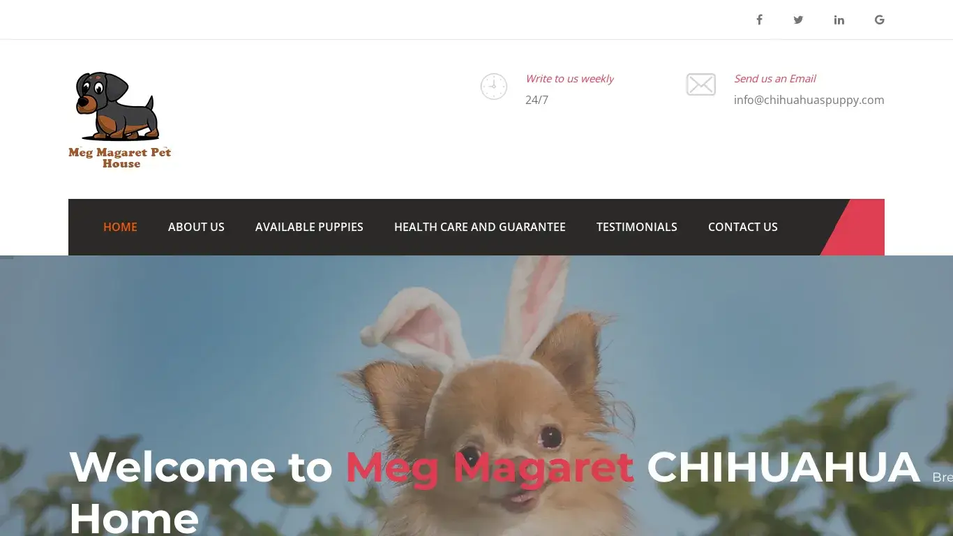 is chihuahuaspuppy.com legit? screenshot