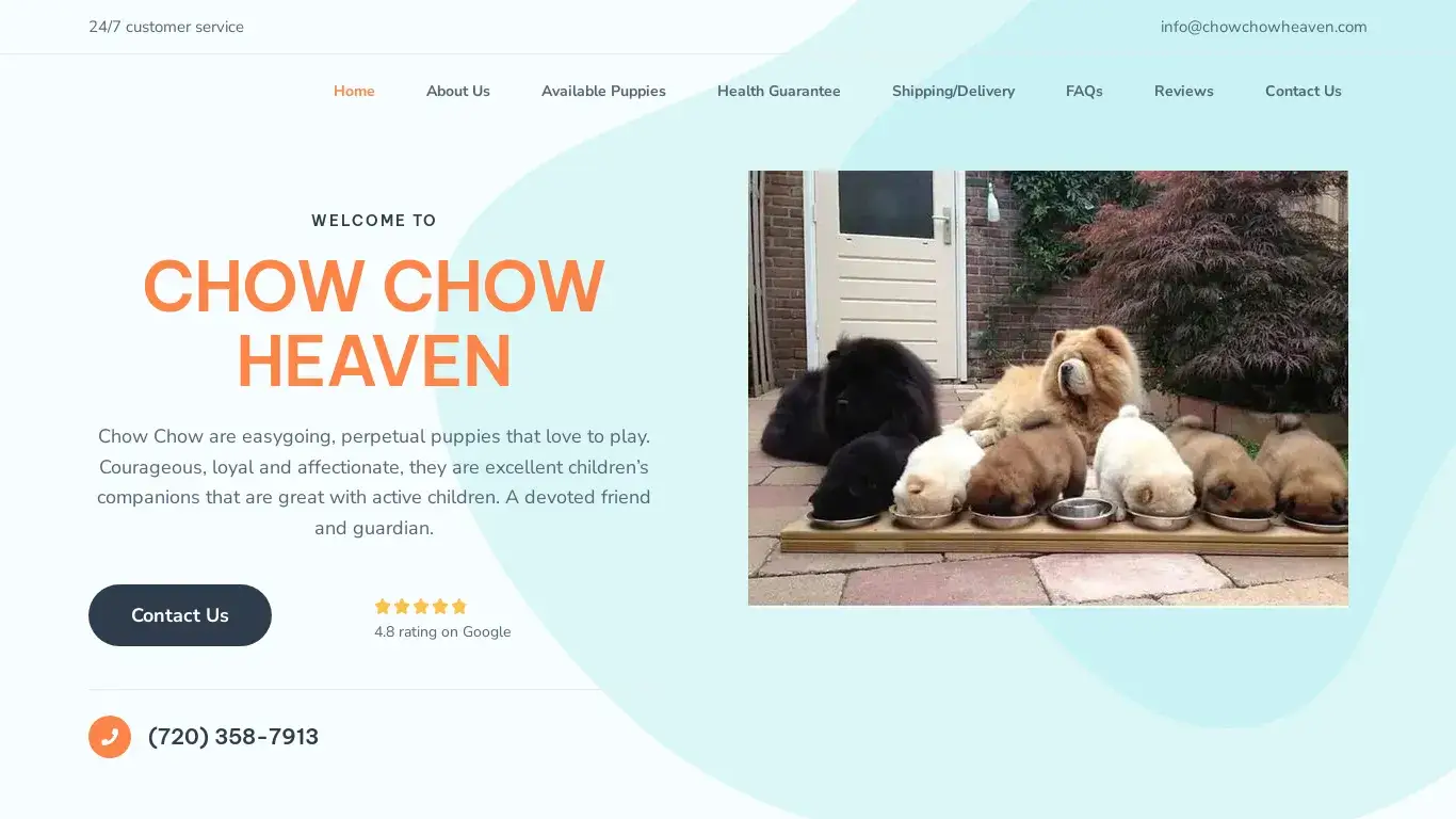 is chowchowheaven.com legit? screenshot
