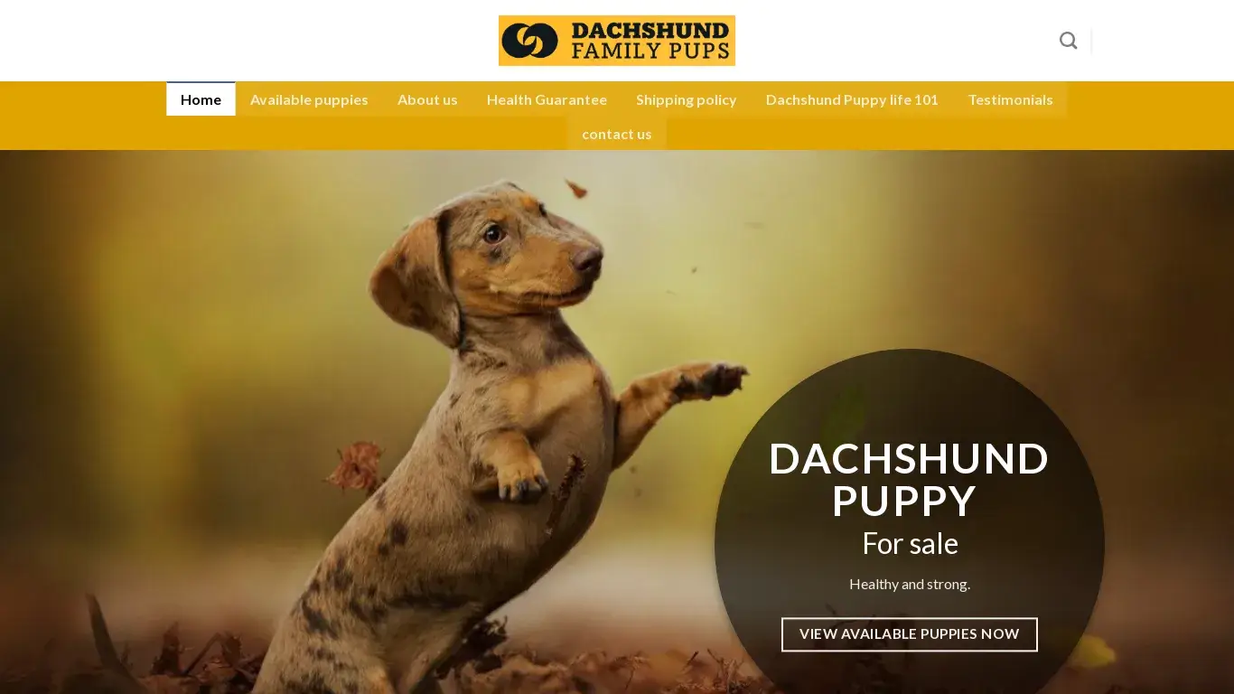 is dachshundfamilypups.com legit? screenshot