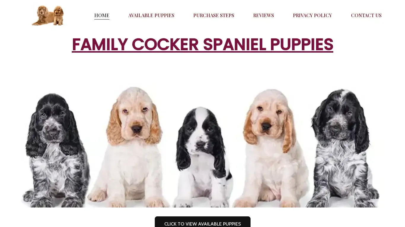 is familycockerspaniels.com legit? screenshot