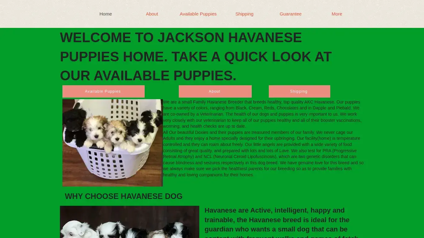 is jacksonhavanesepupshome.com legit? screenshot