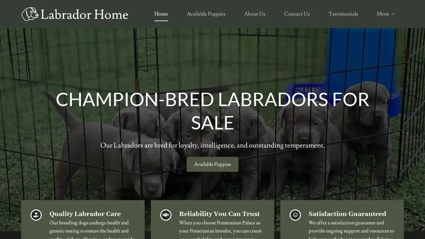 is labradorhome.online legit? screenshot