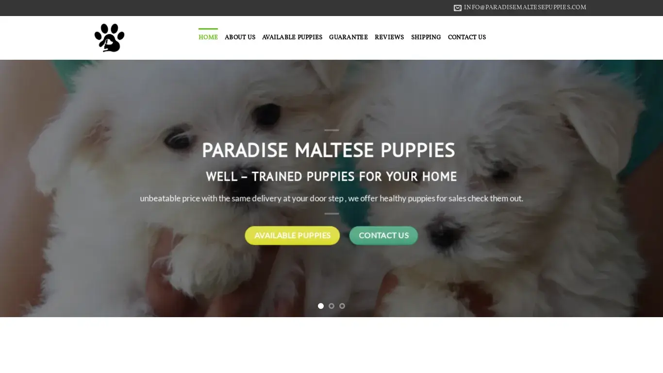 is paradisemaltesepuppies.com legit? screenshot