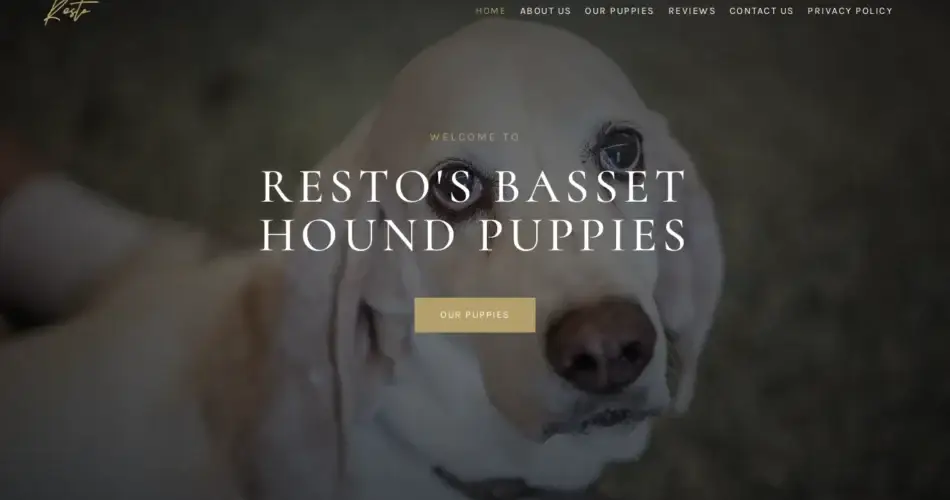 Is Restosbassethoundpuppies.com legit?