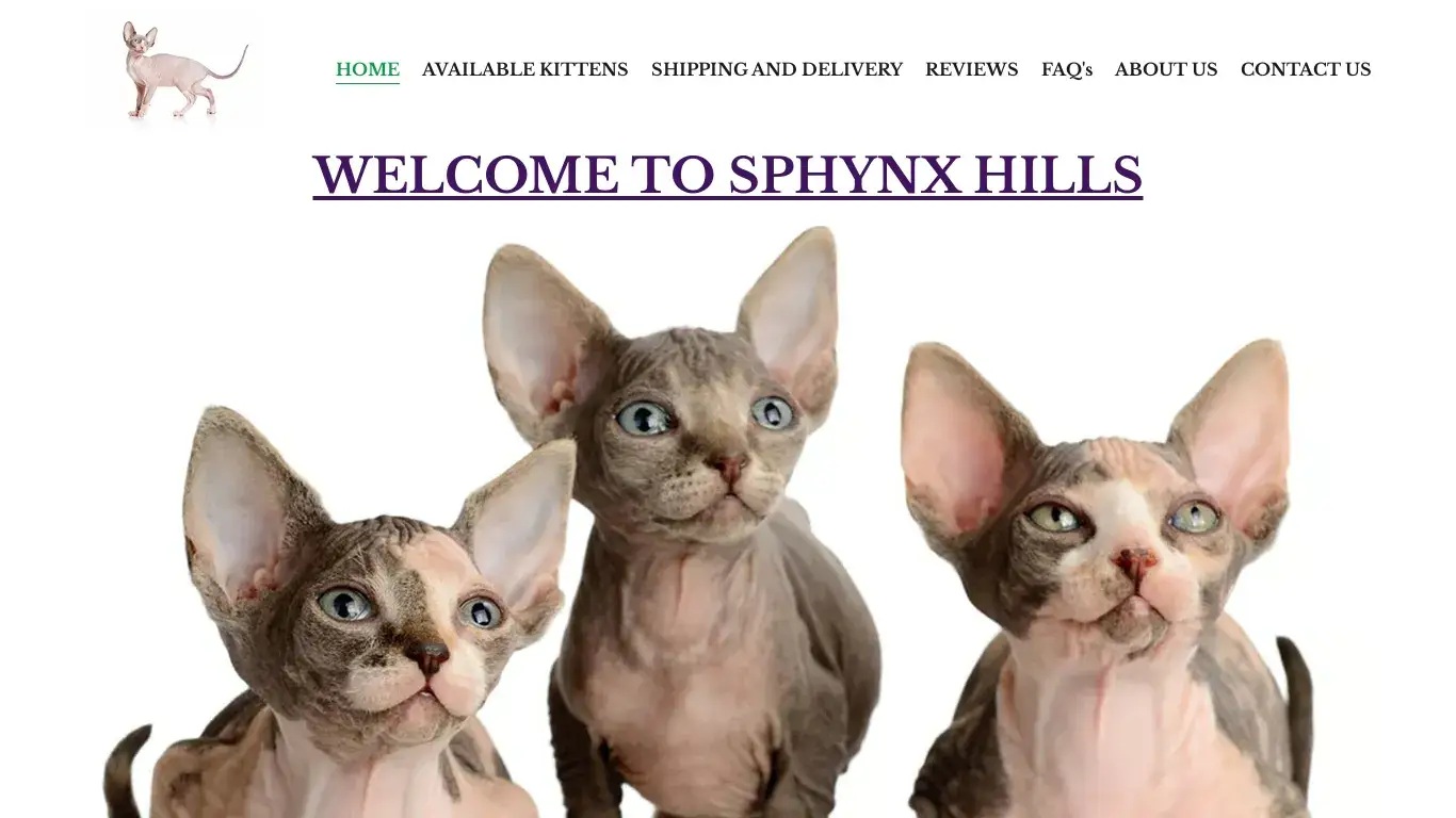is sphynxfamilykittens.com legit? screenshot