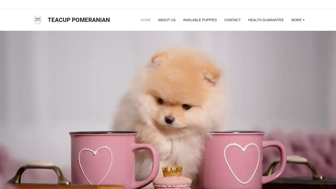 is teacuppomeraniannursinghome.com legit? screenshot