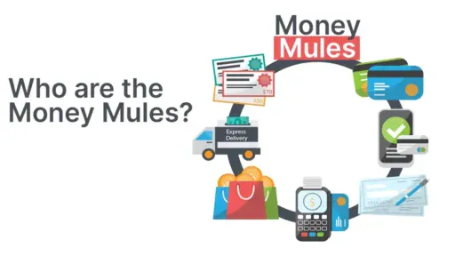 Money-mules-How-are-they-recruited