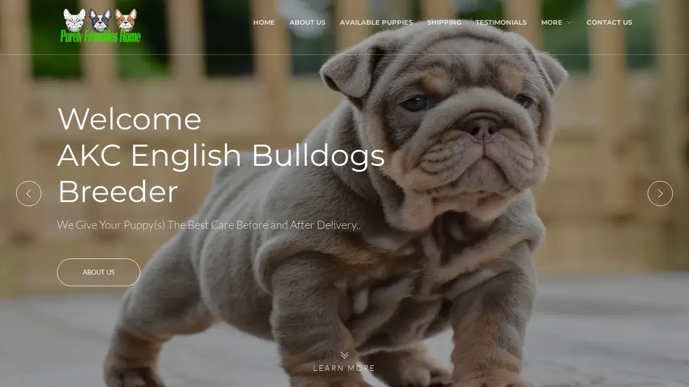 is akcenglishbulldogsbreeder.com legit? screenshot