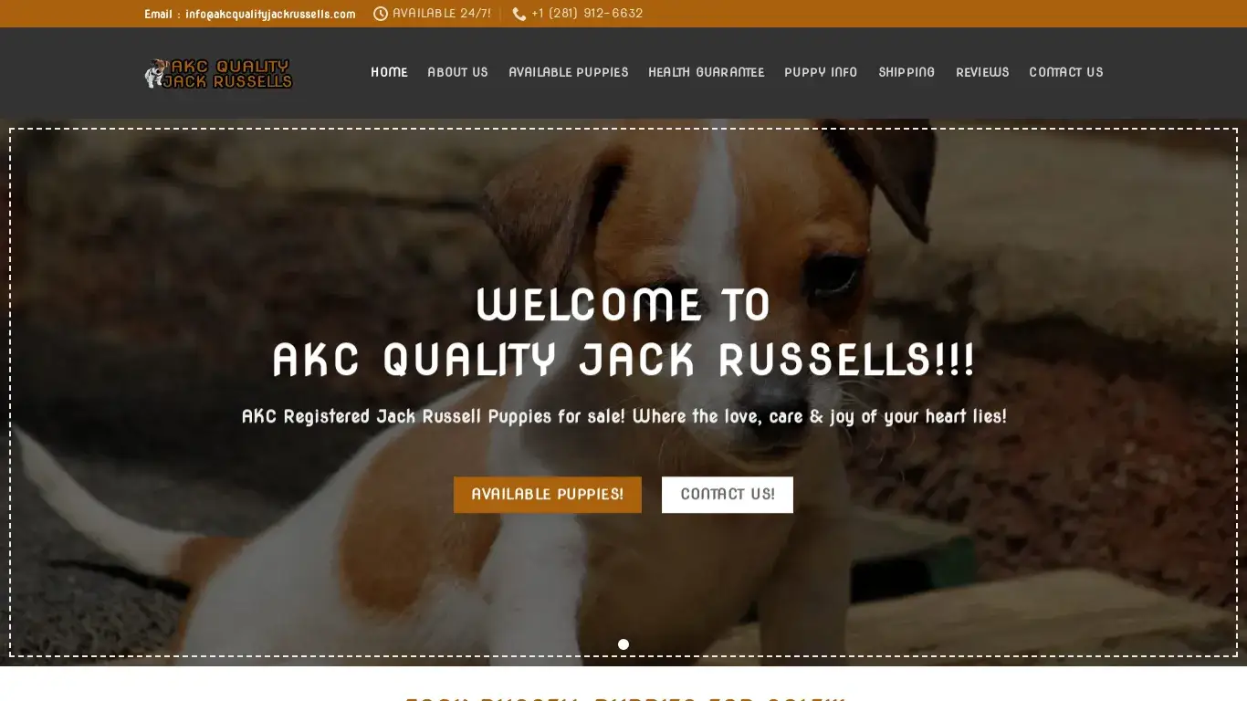 is akcqualityjackrussells.com legit? screenshot