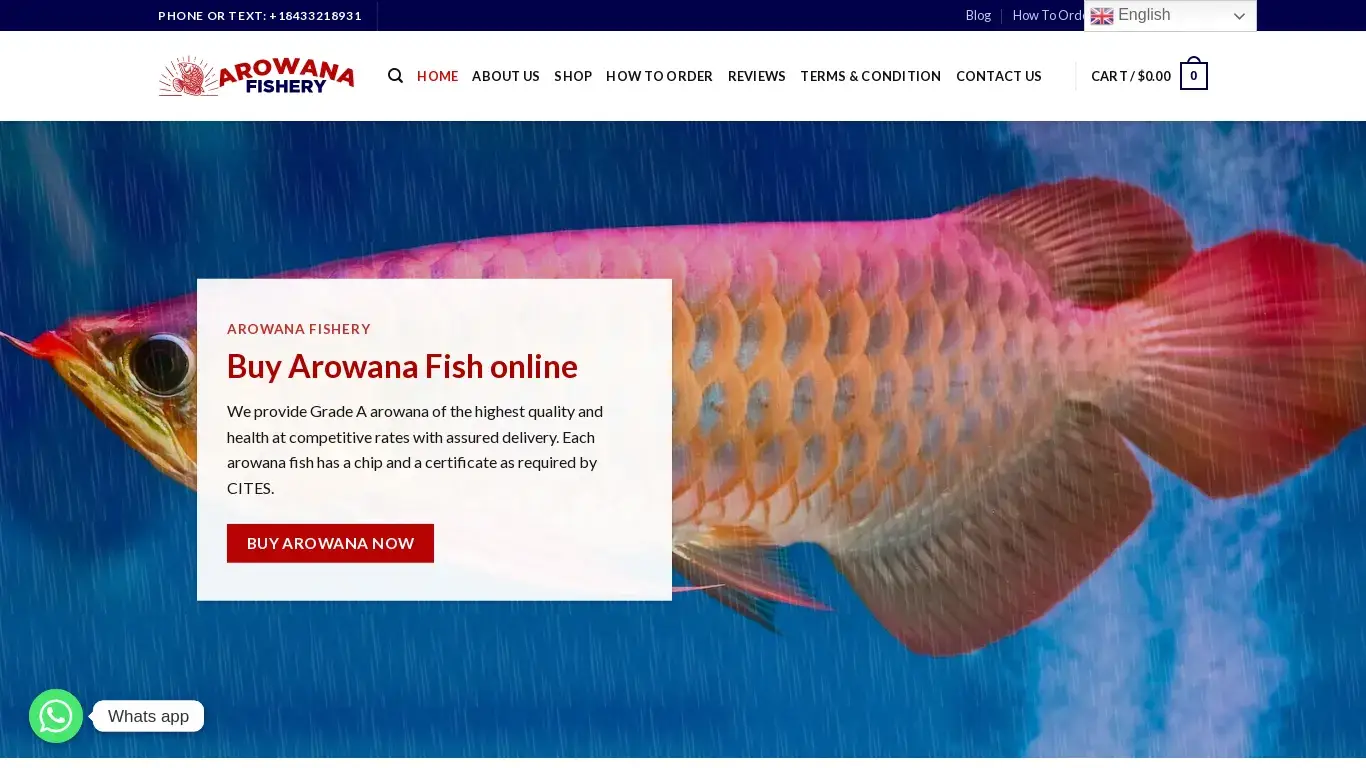 is arowanafishery.com legit? screenshot
