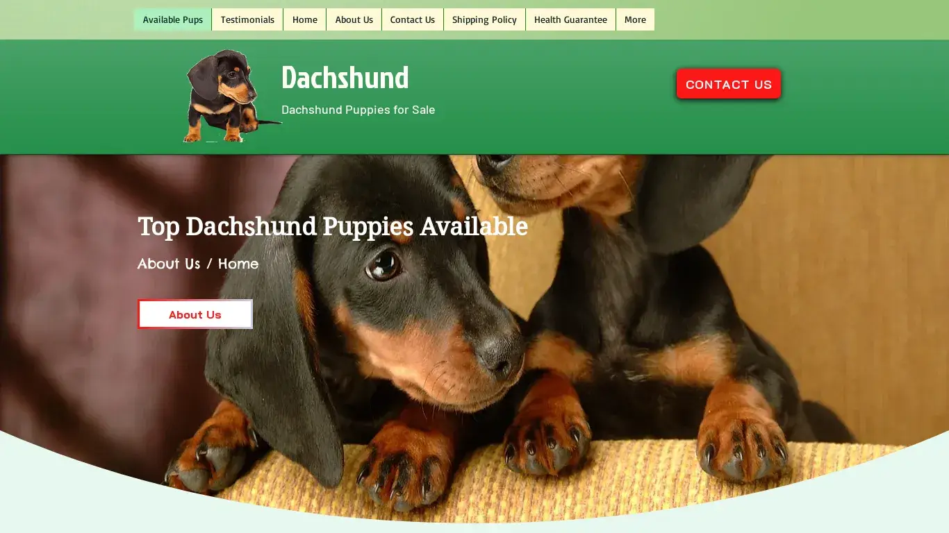 is dachshundcutepups.com legit? screenshot