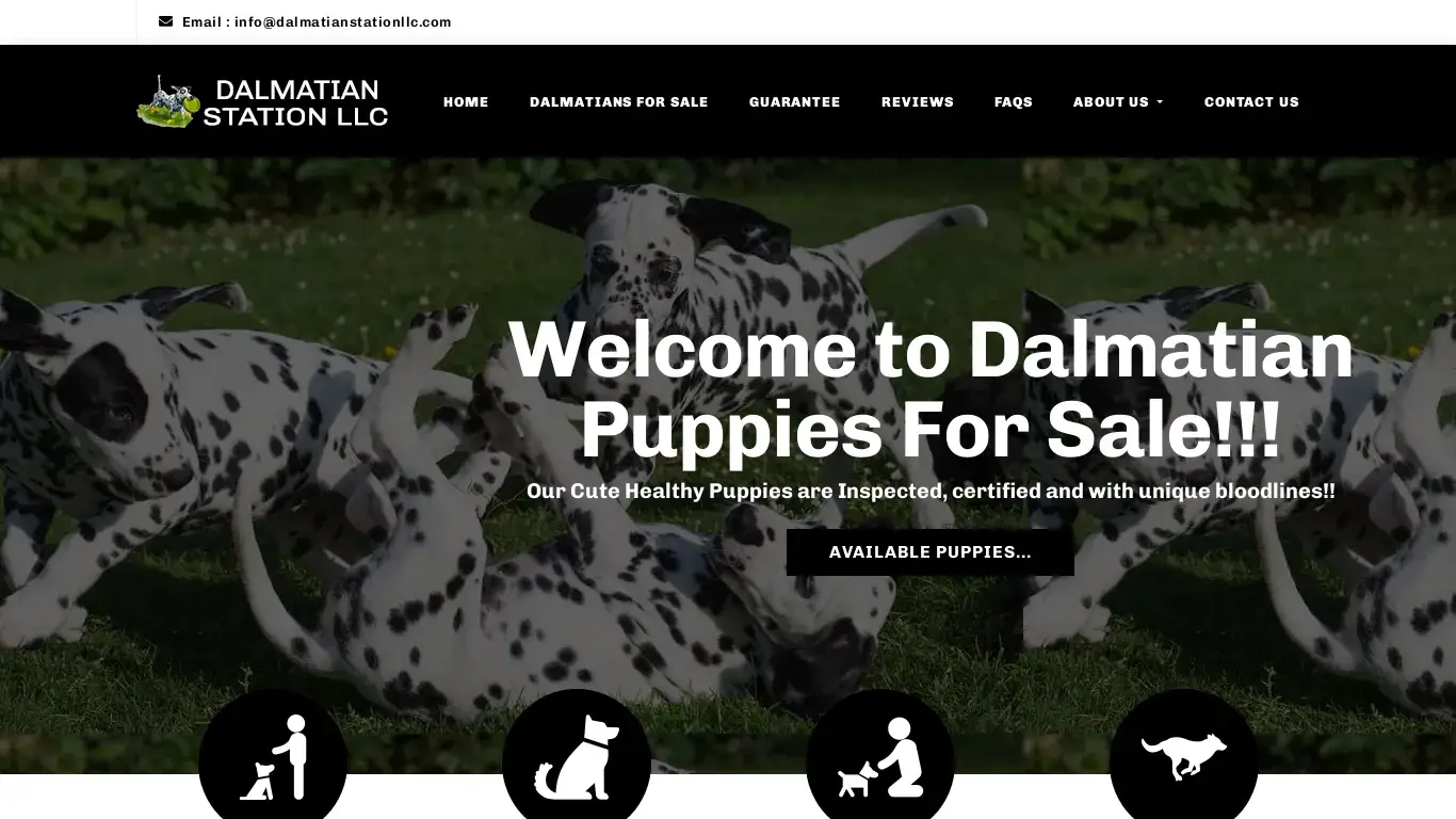 is dalmatianstationllc.com legit? screenshot