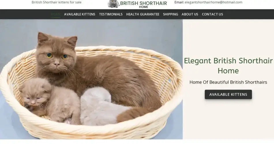 Is Elegantshorthaircats.com legit?