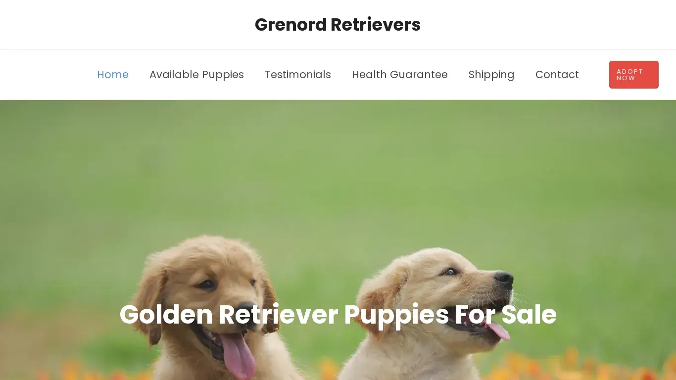 is grenordretrievers.com legit? screenshot