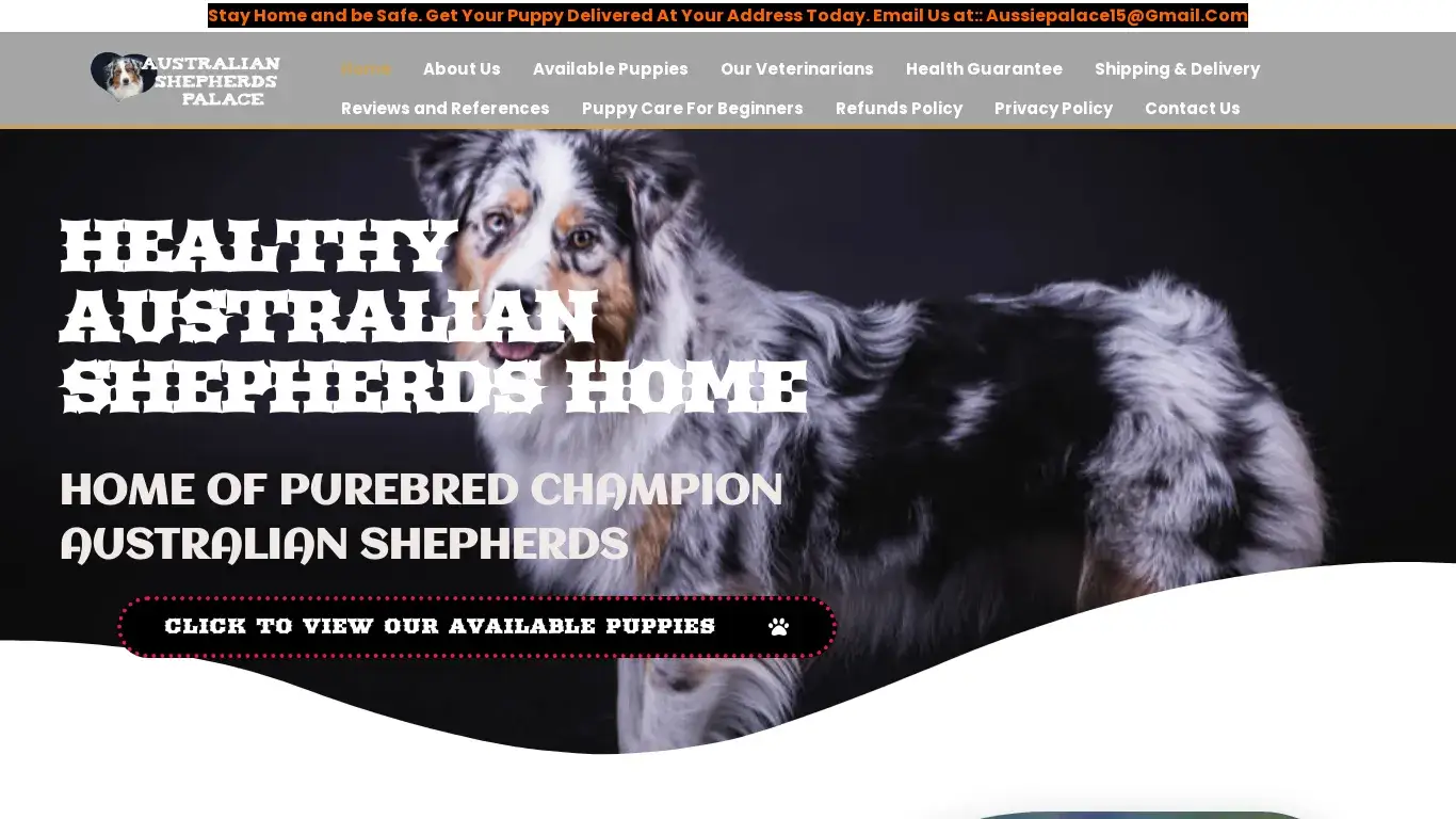 is healthyaustralianshepherdshome.com legit? screenshot