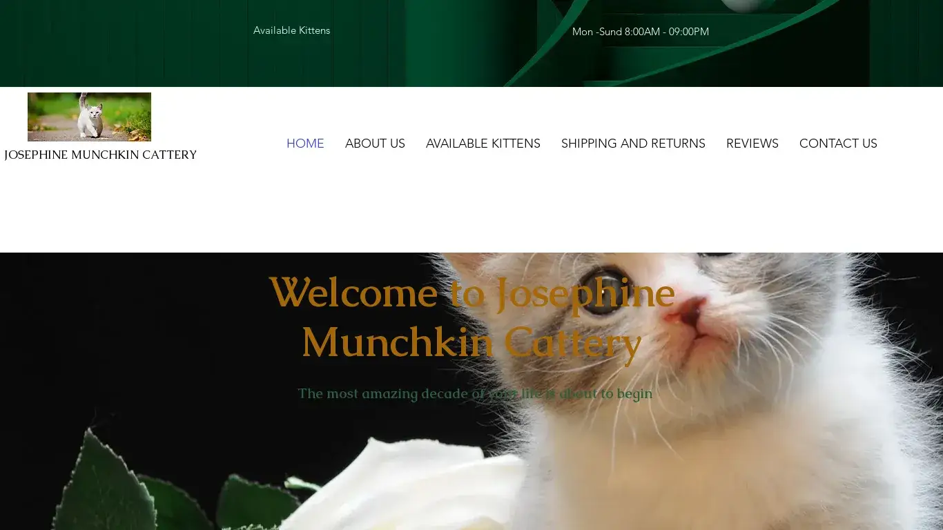 is josmunchkincattery.com legit? screenshot