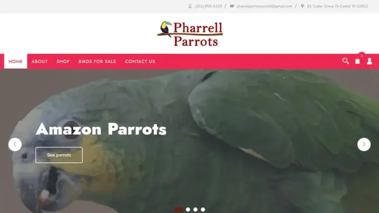 Pharrellparrotsworld.com