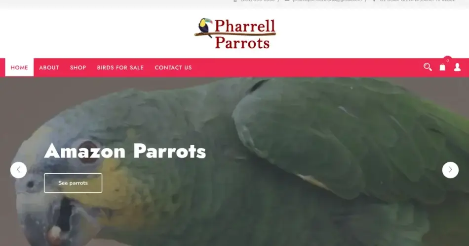 Is Pharrellparrotsworld.com legit?