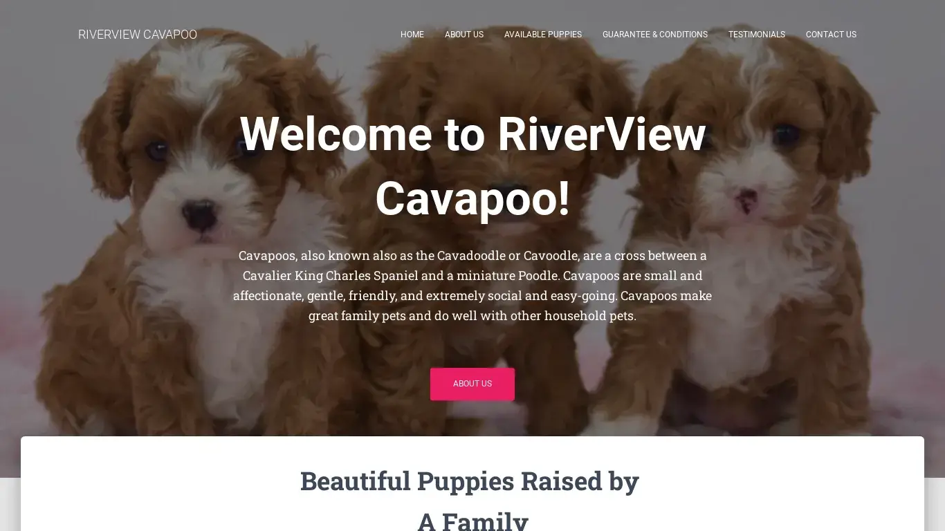 is riverviewcavapoopuppiesforsale.com legit? screenshot