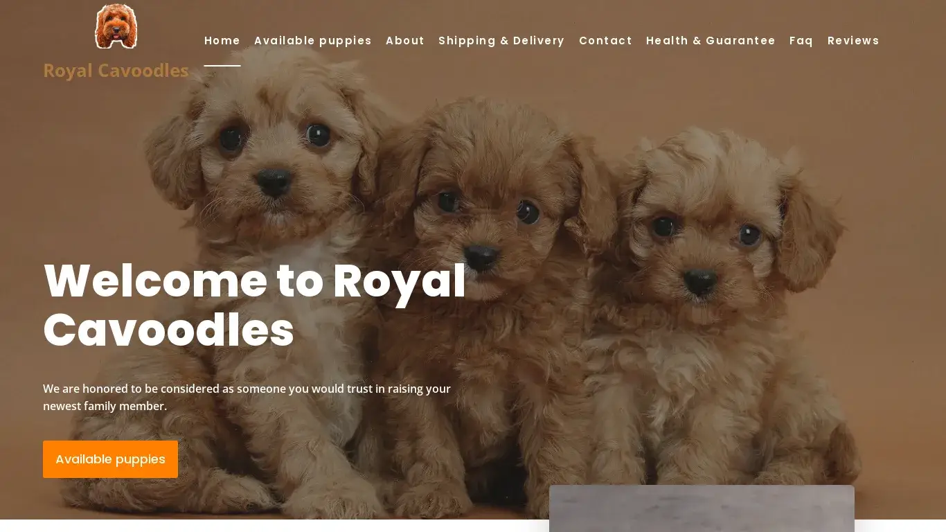 is royalcavoodle.com legit? screenshot