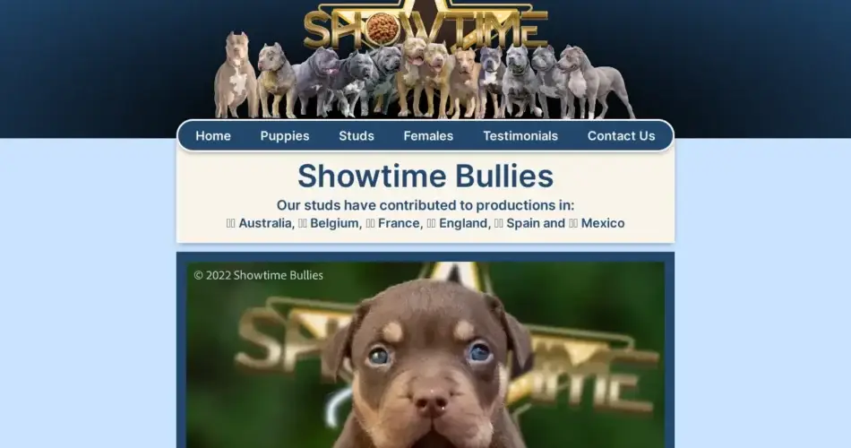 Is Showtimebullies.com legit?