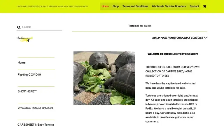 Tortoisemart.com