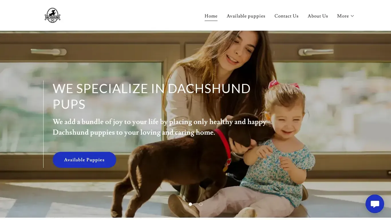 is adorabledachshundpuppies-home.com legit? screenshot