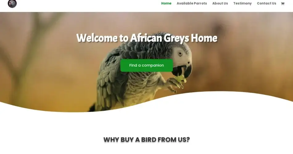 Is Africangreyshome.com legit?