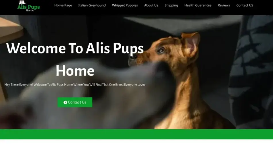 Is Alisgreyhoundpups.com legit?