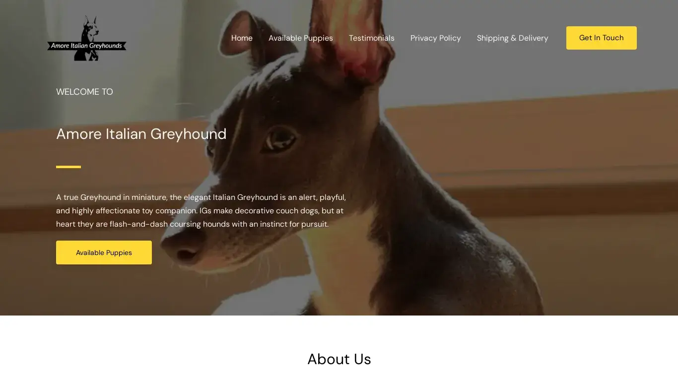 is amoreitaliangeyhounds.com legit? screenshot