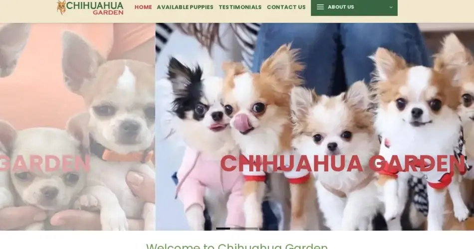 Is Chihuahuagarden.com legit?