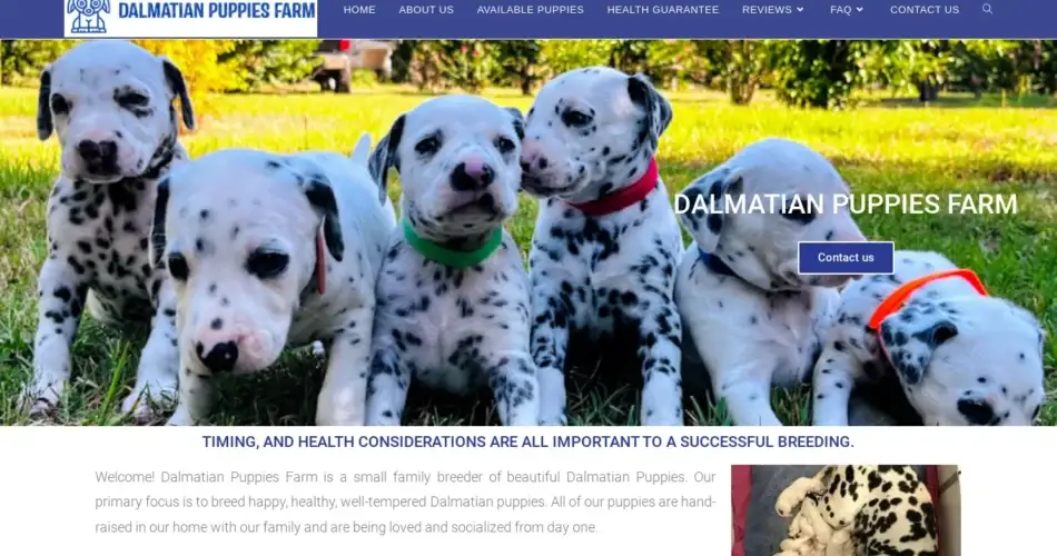 Is Dalmatianpuppiesfarm.com legit?