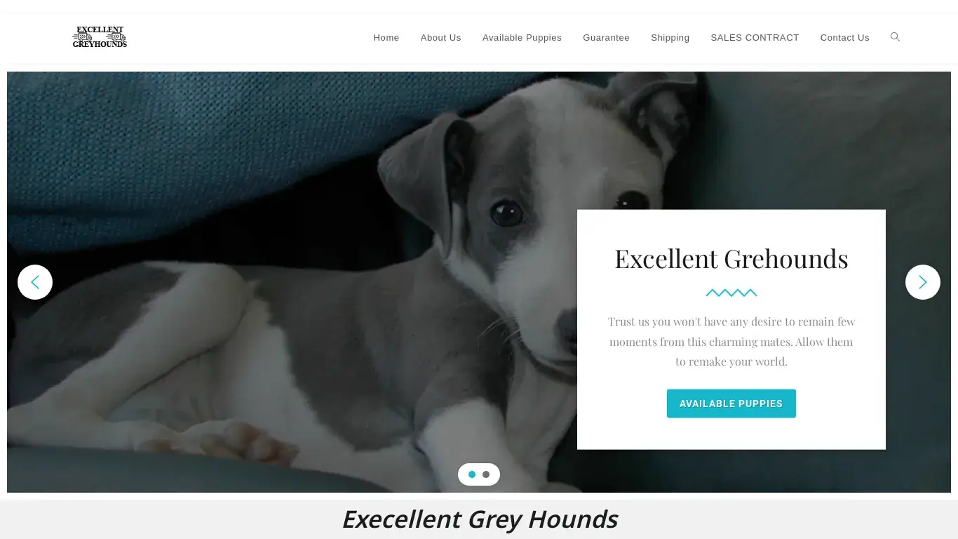 is excellentgreyhounds.com legit? screenshot