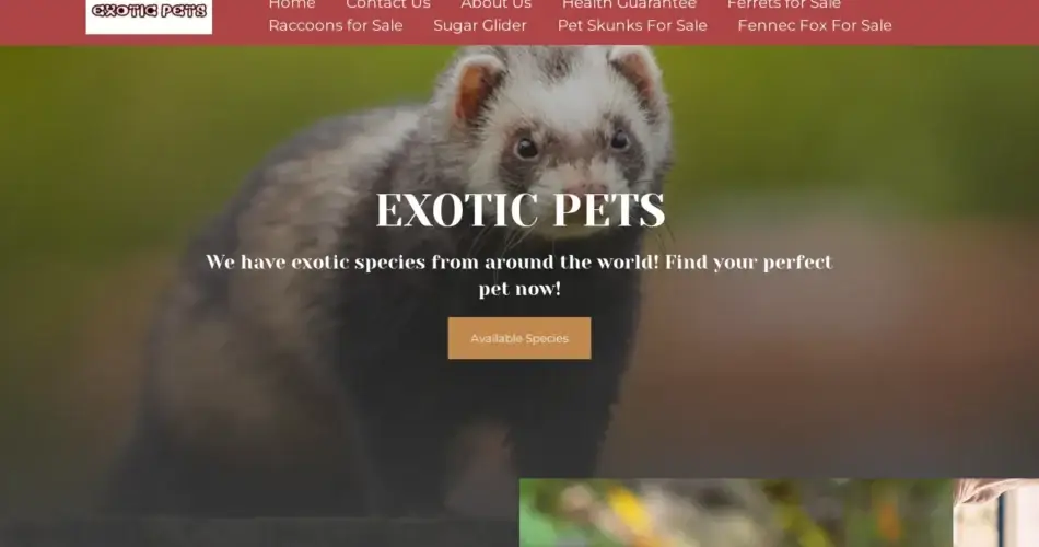 Is Exoticpetss.com legit?