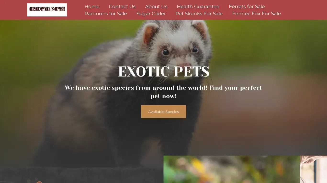 is exoticpetss.com legit? screenshot