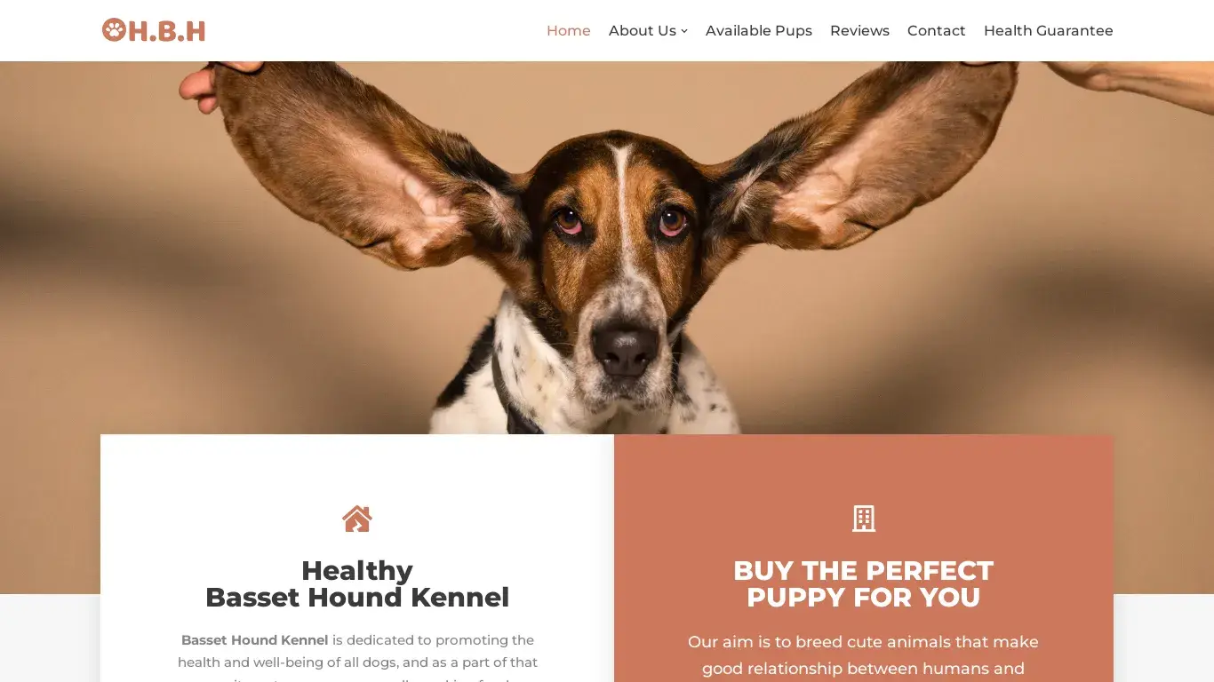 is healthybassethound.com legit? screenshot