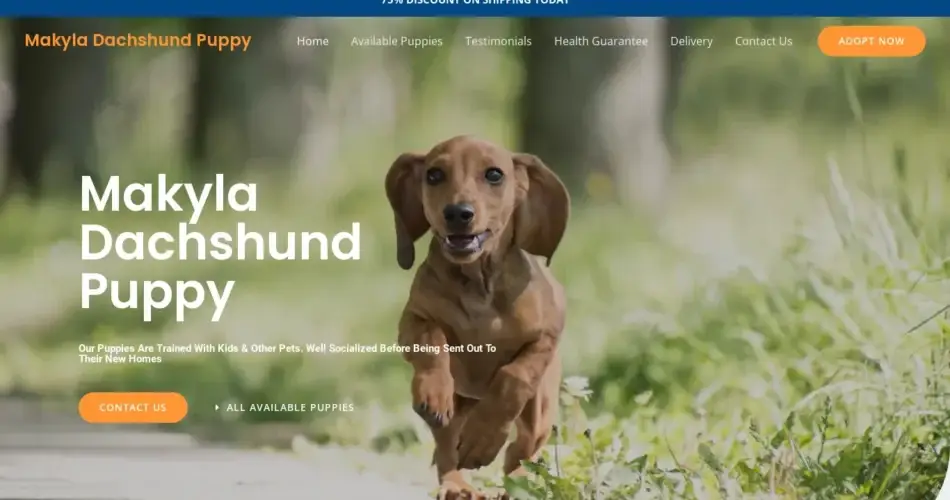 Is Makyladachshundpuppy.com legit?