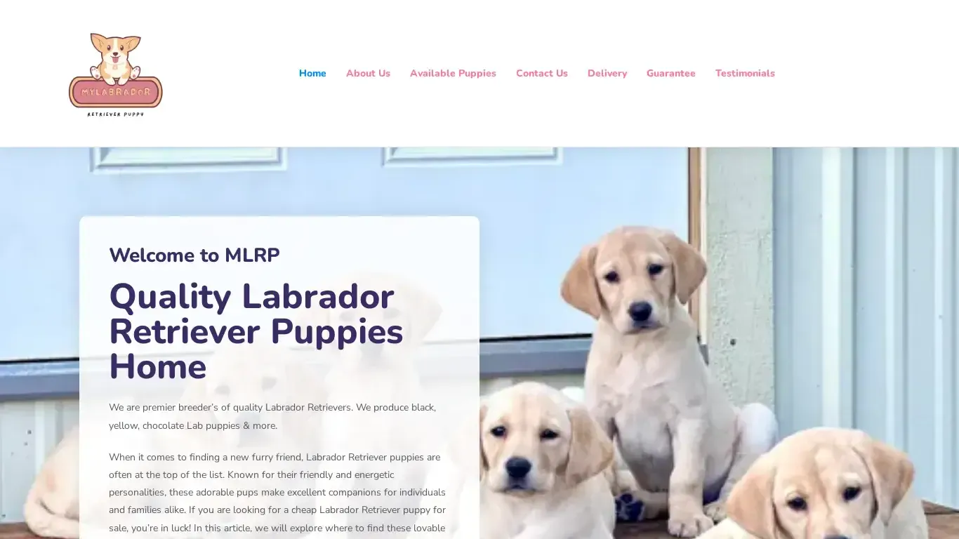 is mylabradorretrieverpups.com legit? screenshot