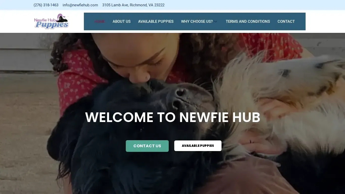 is newfiehub.com legit? screenshot