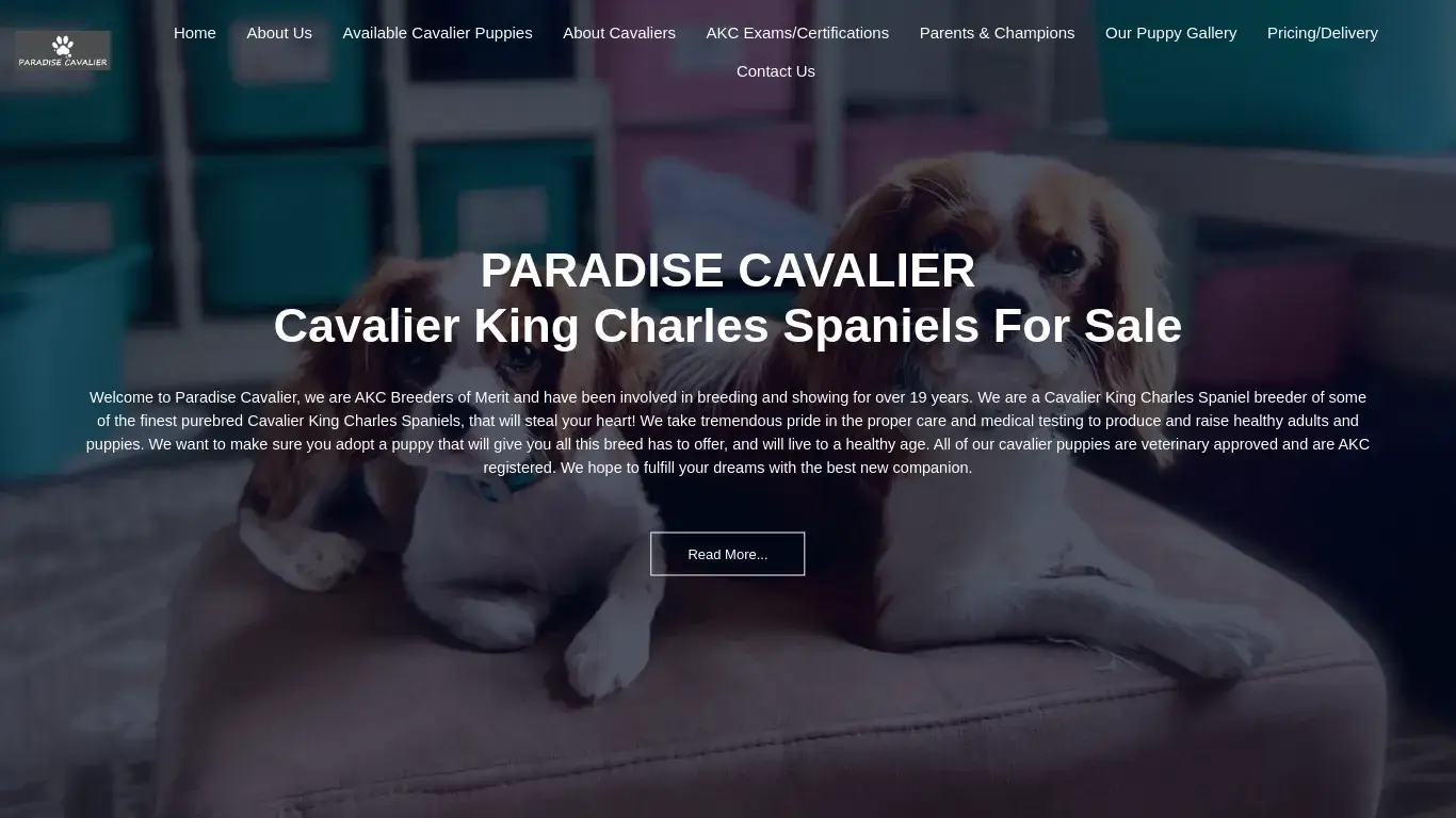 is paradisecavalier.com legit? screenshot