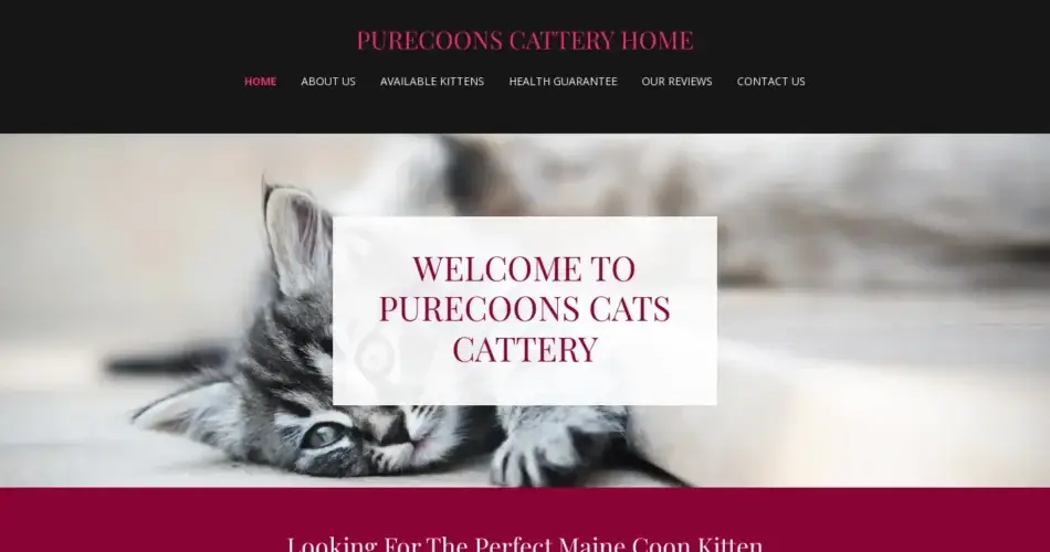Is Purecoonscattery.com legit?